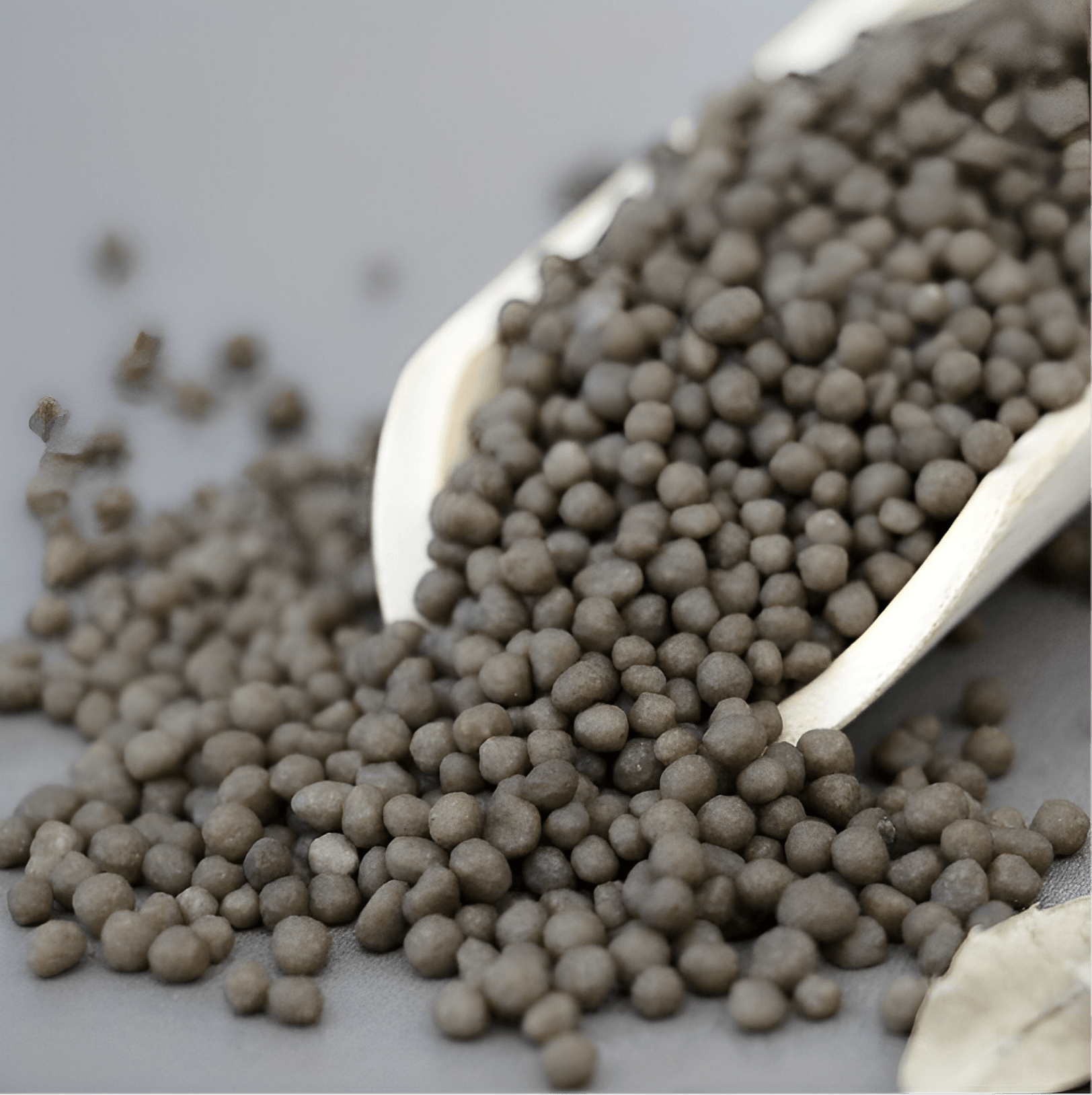 Diammonium phosphate (DAP)